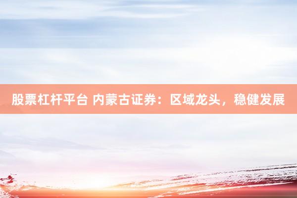 股票杠杆平台 内蒙古证券：区域龙头，稳健发展