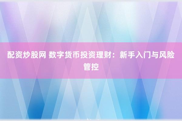 配资炒股网 数字货币投资理财：新手入门与风险管控