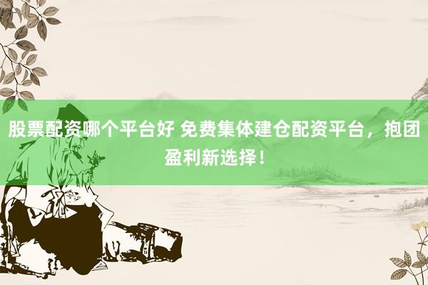 股票配资哪个平台好 免费集体建仓配资平台，抱团盈利新选择！