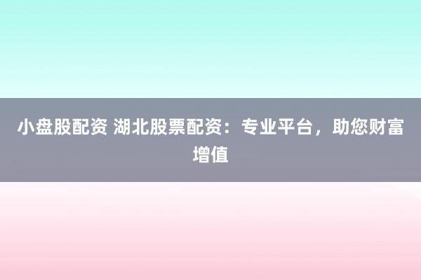 小盘股配资 湖北股票配资：专业平台，助您财富增值